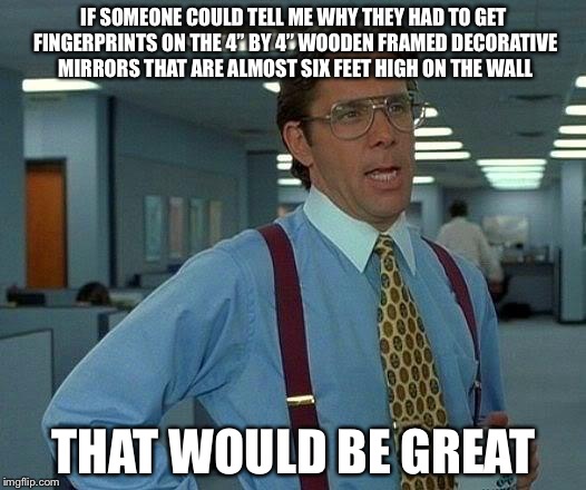 That Would Be Great | IF SOMEONE COULD TELL ME WHY THEY HAD TO GET FINGERPRINTS ON THE 4” BY 4” WOODEN FRAMED DECORATIVE MIRRORS THAT ARE ALMOST SIX FEET HIGH ON THE WALL; THAT WOULD BE GREAT | image tagged in memes,that would be great | made w/ Imgflip meme maker