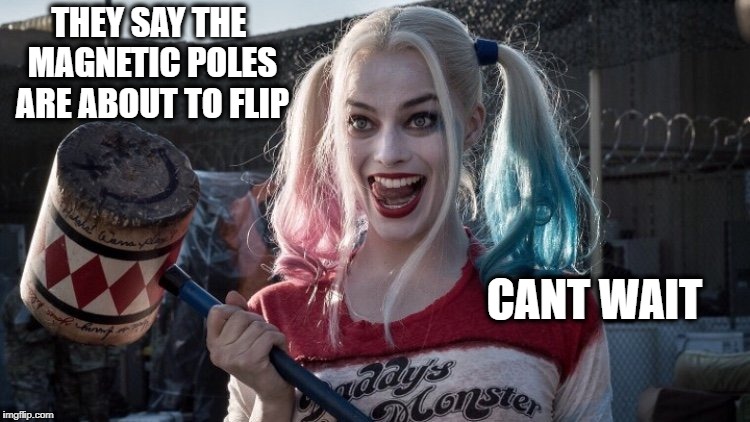 Harley Q | THEY SAY THE MAGNETIC POLES ARE ABOUT TO FLIP; CANT WAIT | image tagged in harley q | made w/ Imgflip meme maker