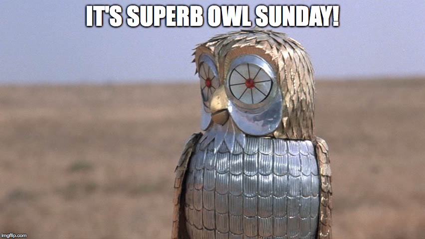 Superb Owl Sunday | IT'S SUPERB OWL SUNDAY! | image tagged in clash of the titans,80s,70s,movies | made w/ Imgflip meme maker