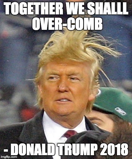 Trump hair | TOGETHER WE SHALLL OVER-COMB; - DONALD TRUMP 2018 | image tagged in trump hair | made w/ Imgflip meme maker
