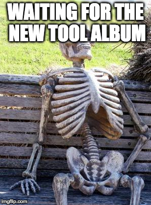 Waiting Skeleton | WAITING FOR THE NEW TOOL ALBUM | image tagged in memes,waiting skeleton | made w/ Imgflip meme maker