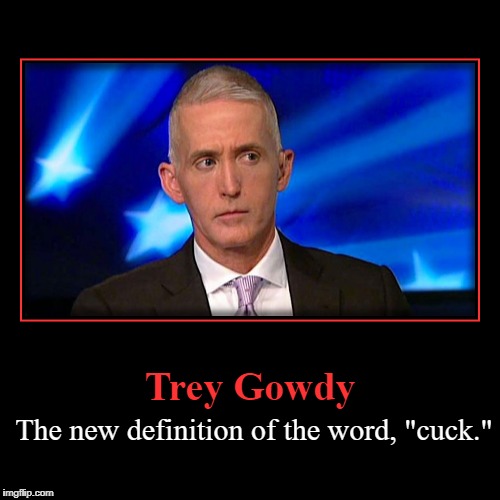 Trey Gowdy: The new definition of the word, "Cuck." | image tagged in not funny,cuck,prick,sellout,kochsucker | made w/ Imgflip demotivational maker