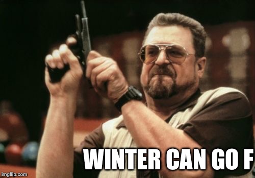 Am I The Only One Around Here Meme | WINTER CAN GO F | image tagged in memes,am i the only one around here | made w/ Imgflip meme maker