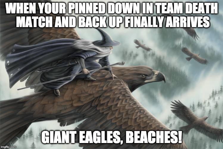 Giant eagles | WHEN YOUR PINNED DOWN IN TEAM DEATH MATCH AND BACK UP FINALLY ARRIVES; GIANT EAGLES, BEACHES! | image tagged in funny | made w/ Imgflip meme maker