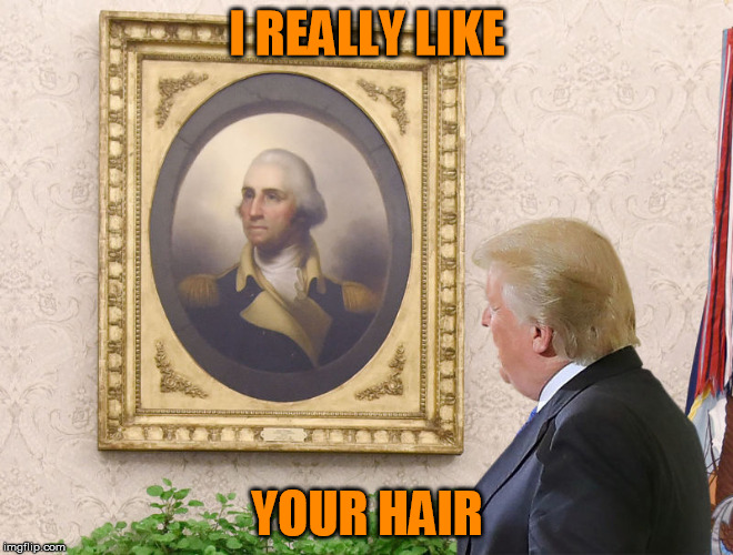 one dollar | I REALLY LIKE; YOUR HAIR | image tagged in are you on my team | made w/ Imgflip meme maker