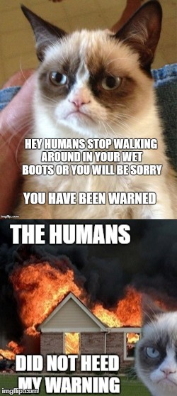 Grumpy Cat Warns Humans | image tagged in grumpy cat,funny | made w/ Imgflip meme maker