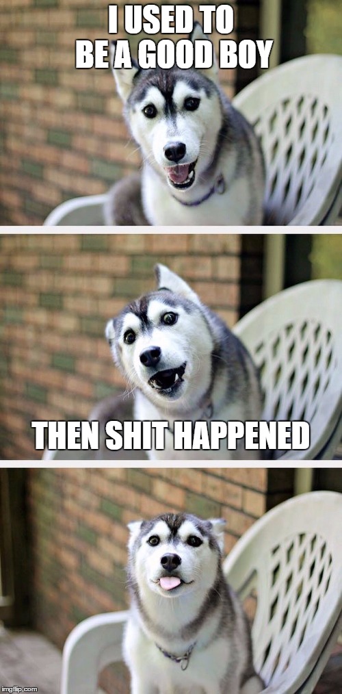 Bad Pun Dog 2 | I USED TO BE A GOOD BOY; THEN SHIT HAPPENED | image tagged in bad pun dog 2,random,good boy | made w/ Imgflip meme maker