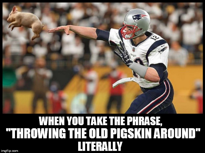 "THROWING THE OLD PIGSKIN AROUND"; WHEN YOU TAKE THE PHRASE, LITERALLY | image tagged in football,superbowl,tom brady,pigs fly,tom brady superbowl,eagles | made w/ Imgflip meme maker
