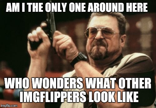Show Yourselves! | AM I THE ONLY ONE AROUND HERE; WHO WONDERS WHAT OTHER IMGFLIPPERS LOOK LIKE | image tagged in memes,am i the only one around here,funny,imgflip users | made w/ Imgflip meme maker