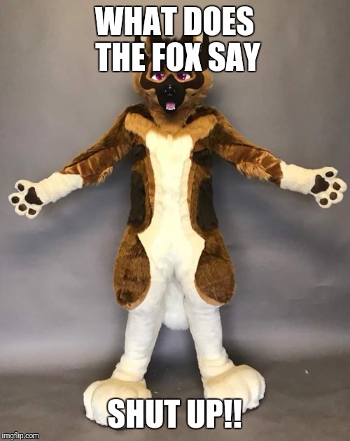 Meme  of the music what does the fox say | WHAT DOES THE FOX SAY; SHUT UP!! | image tagged in funny | made w/ Imgflip meme maker