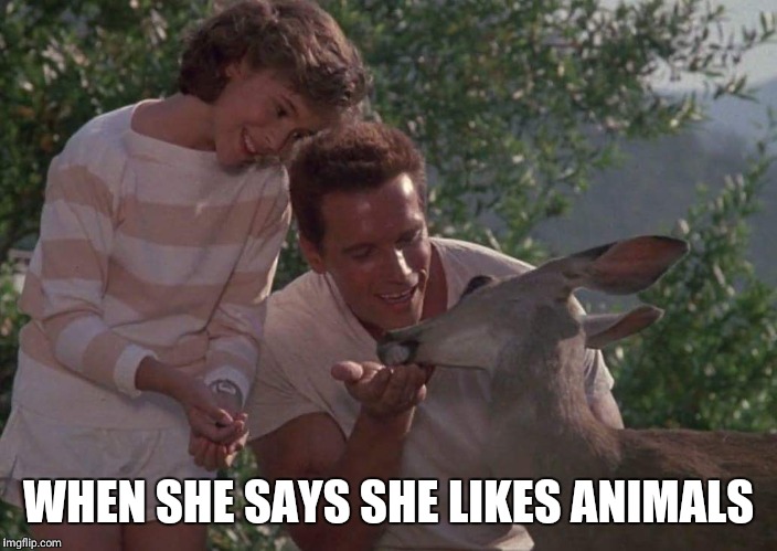 WHEN SHE SAYS SHE LIKES ANIMALS | image tagged in nice arnold | made w/ Imgflip meme maker