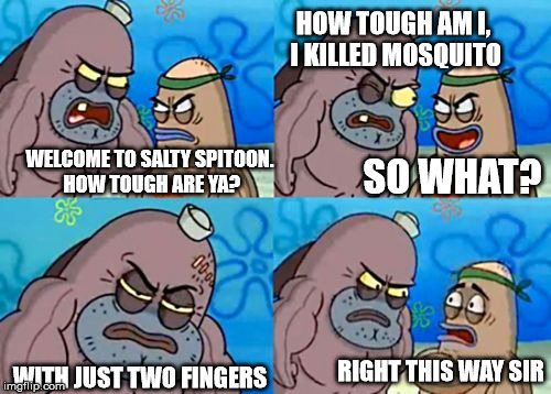 How Tough Are You | HOW TOUGH AM I, I KILLED MOSQUITO; WELCOME TO SALTY SPITOON. HOW TOUGH ARE YA? SO WHAT? RIGHT THIS WAY SIR; WITH JUST TWO FINGERS | image tagged in memes,how tough are you | made w/ Imgflip meme maker