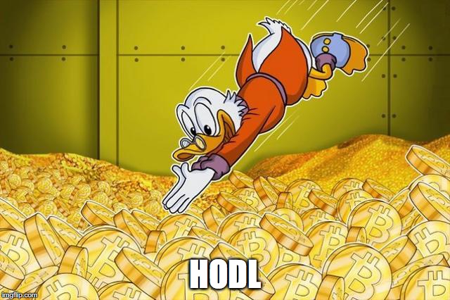 HODL | image tagged in btc | made w/ Imgflip meme maker