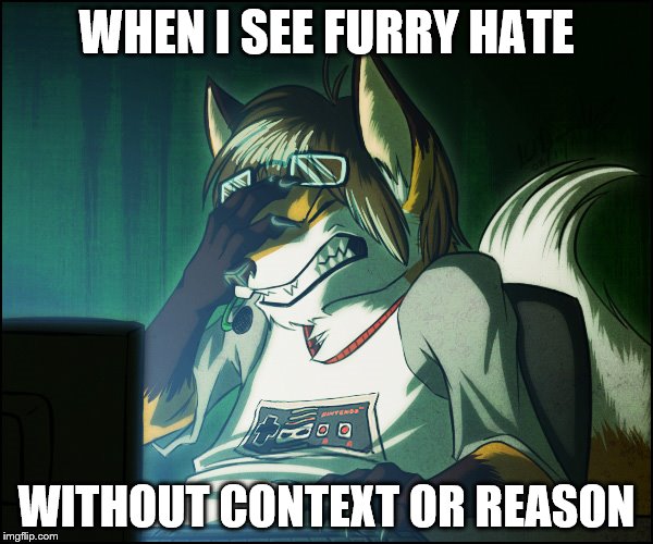 Why though? |  WHEN I SEE FURRY HATE; WITHOUT CONTEXT OR REASON | image tagged in furry facepalm | made w/ Imgflip meme maker