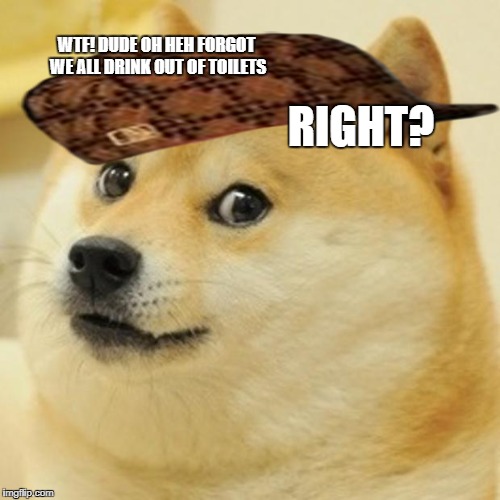 Doge | WTF! DUDE OH HEH FORGOT WE ALL DRINK OUT OF TOILETS; RIGHT? | image tagged in memes,doge,scumbag | made w/ Imgflip meme maker