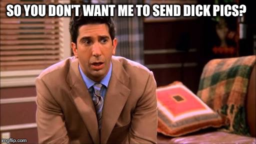  SO YOU DON'T WANT ME TO SEND DICK PICS? | image tagged in ross friends | made w/ Imgflip meme maker
