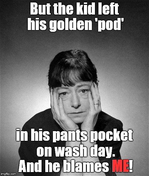 Dorothy Parker | But the kid left his golden 'pod' in his pants pocket on wash day. And he blames ME! ME | image tagged in dorothy parker | made w/ Imgflip meme maker
