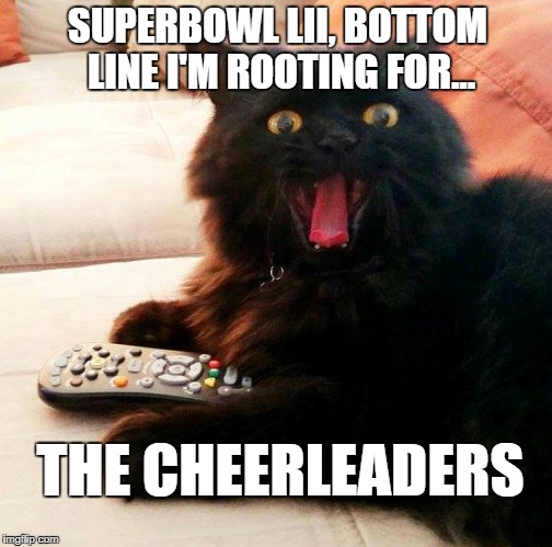 OH BOY! Cat on Superbowl LII | SUPERBOWL LII, BOTTOM LINE I'M ROOTING FOR... THE CHEERLEADERS | image tagged in oh boy cat,memes,superbowl 51,cheerleaders,football,girls | made w/ Imgflip meme maker
