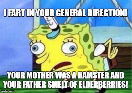 Mocking Spongebob Meme | I FART IN YOUR GENERAL DIRECTION! YOUR MOTHER WAS A HAMSTER AND YOUR FATHER SMELT OF ELDERBERRIES! | image tagged in memes,mocking spongebob | made w/ Imgflip meme maker