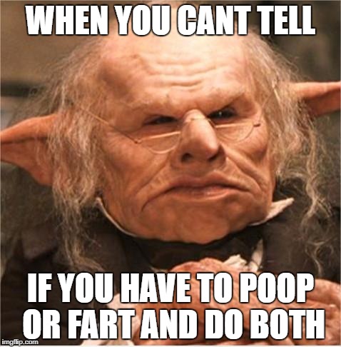 harry potter goblin | WHEN YOU CANT TELL; IF YOU HAVE TO POOP OR FART AND DO BOTH | image tagged in harry potter goblin | made w/ Imgflip meme maker