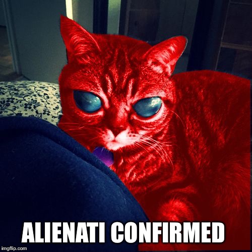 RayCat Aliens | ALIENATI CONFIRMED | image tagged in raycat aliens | made w/ Imgflip meme maker