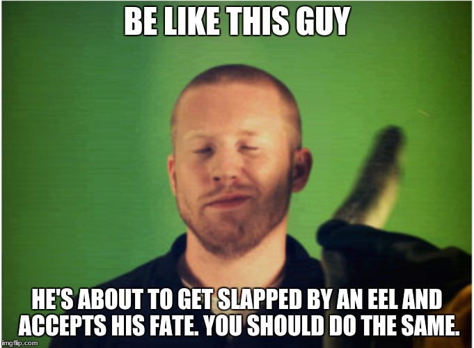 be like him, he accepts his fate | BE LIKE THIS GUY; HE'S ABOUT TO GET SLAPPED BY AN EEL AND ACCEPTS HIS FATE. YOU SHOULD DO THE SAME. | image tagged in eel | made w/ Imgflip meme maker