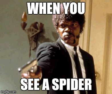 Say That Again I Dare You | WHEN YOU; SEE A SPIDER | image tagged in memes,say that again i dare you | made w/ Imgflip meme maker
