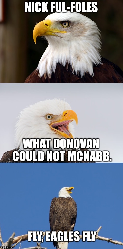 Bad Pun Eagle SuperBowl LII | NICK FUL-FOLES; WHAT DONOVAN COULD NOT MCNABB. FLY, EAGLES FLY | image tagged in bad pun eagle,philadelphia eagles,nfl football,memes,laughing,bird | made w/ Imgflip meme maker