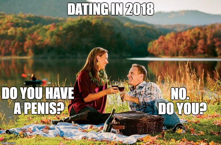 romantic picnic | DATING IN 2018; NO.  DO YOU? DO YOU HAVE A PENIS? | image tagged in romantic picnic | made w/ Imgflip meme maker