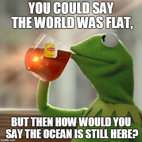 But That's None Of My Business | YOU COULD SAY THE WORLD WAS FLAT, BUT THEN HOW WOULD YOU SAY THE OCEAN IS STILL HERE? | image tagged in memes,but thats none of my business,kermit the frog | made w/ Imgflip meme maker