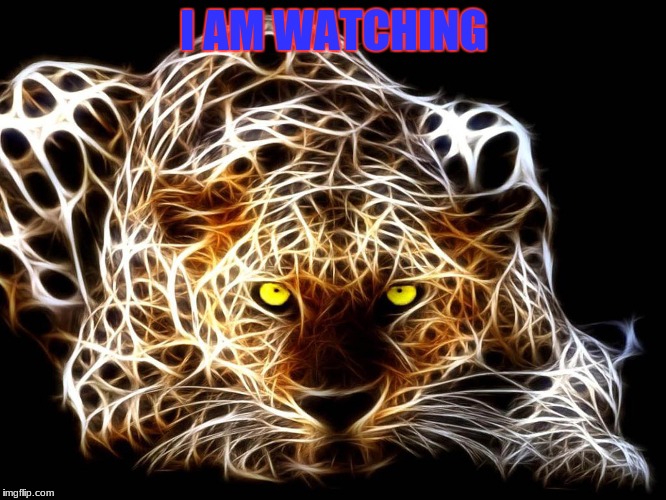 I AM WATCHING | image tagged in memes | made w/ Imgflip meme maker