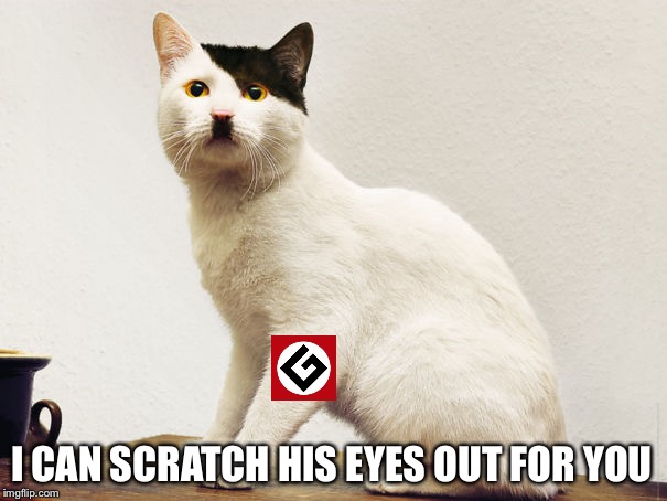 Hitler Cat | I CAN SCRATCH HIS EYES OUT FOR YOU | image tagged in hitler cat | made w/ Imgflip meme maker