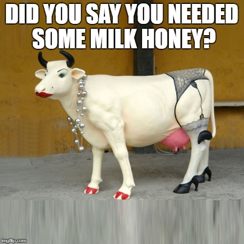 sexy cow | DID YOU SAY YOU NEEDED SOME MILK HONEY? | image tagged in sexy cow | made w/ Imgflip meme maker