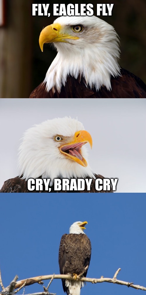 Fly Eagles Fly | FLY, EAGLES FLY; CRY, BRADY CRY | image tagged in bad pun eagle,crying tom brady,philadelphia eagles,super bowl,nfl football,memes | made w/ Imgflip meme maker