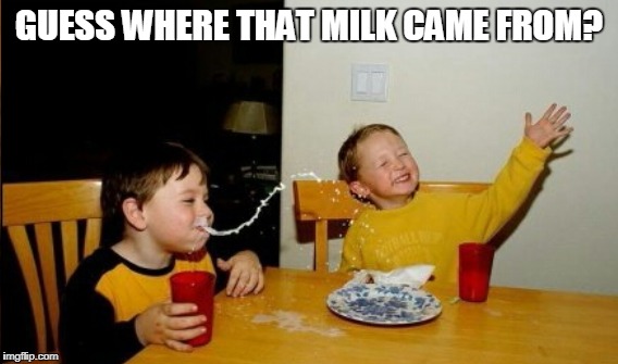 GUESS WHERE THAT MILK CAME FROM? | made w/ Imgflip meme maker