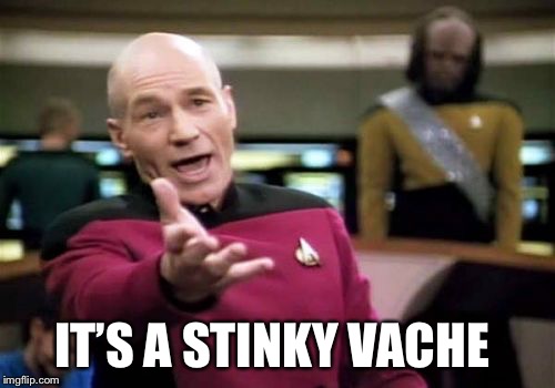 Picard Wtf Meme | IT’S A STINKY VACHE | image tagged in memes,picard wtf | made w/ Imgflip meme maker