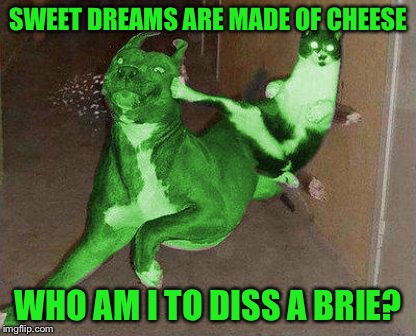 RayCat kicking RayDog | SWEET DREAMS ARE MADE OF CHEESE WHO AM I TO DISS A BRIE? | image tagged in raycat kicking raydog | made w/ Imgflip meme maker