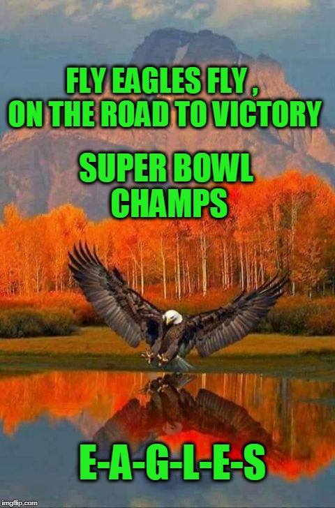 Patriotic Eagle | FLY EAGLES FLY , ON THE ROAD TO VICTORY; SUPER BOWL CHAMPS; E-A-G-L-E-S | image tagged in patriotic eagle | made w/ Imgflip meme maker