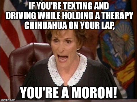 Put down your phone and drive you moron | IF YOU'RE TEXTING AND DRIVING WHILE HOLDING A THERAPY CHIHUAHUA ON YOUR LAP, YOU'RE A MORON! | image tagged in judge judy,chihuahua,texting and driving,bad drivers,stupid people,phone | made w/ Imgflip meme maker