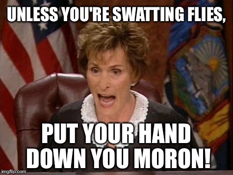 Fly swatter | UNLESS YOU'RE SWATTING FLIES, PUT YOUR HAND DOWN YOU MORON! | image tagged in judge judy,flies,bugs,stupid,memes,hand | made w/ Imgflip meme maker