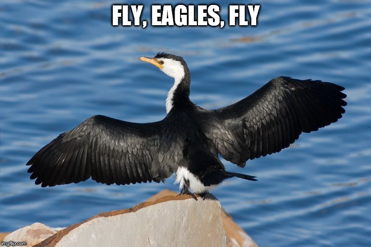 Duckguin | FLY, EAGLES, FLY | image tagged in duckguin | made w/ Imgflip meme maker