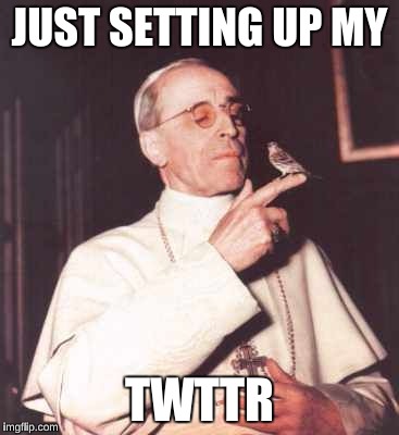 JUST SETTING UP MY; TWTTR | image tagged in setting-up-my-twttr | made w/ Imgflip meme maker