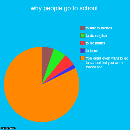 why people go to school | You didnt even want to go to school but you were forced too, to learn, to do maths, to do english, to talk to frie | image tagged in funny,pie charts | made w/ Imgflip chart maker