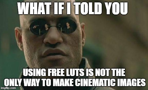 Matrix Morpheus Meme | WHAT IF I TOLD YOU; USING FREE LUTS IS NOT THE ONLY WAY TO MAKE CINEMATIC IMAGES | image tagged in memes,matrix morpheus | made w/ Imgflip meme maker