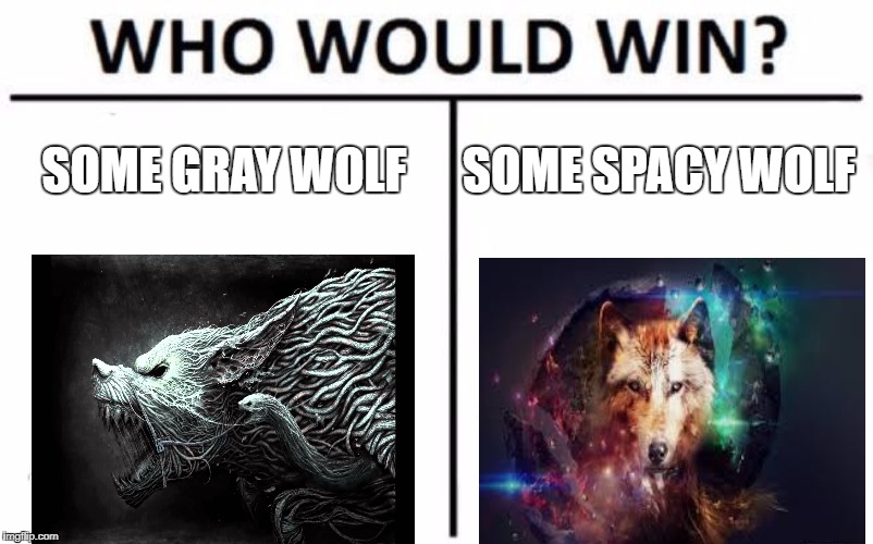 Who Would Win? | SOME GRAY WOLF; SOME SPACY WOLF | image tagged in memes,who would win | made w/ Imgflip meme maker