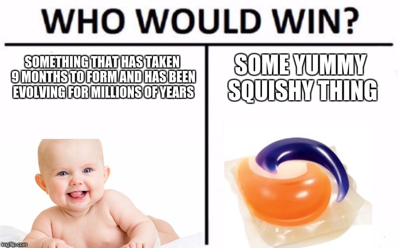 Who Would Win? Meme | SOMETHING THAT HAS TAKEN 9 MONTHS TO FORM AND HAS BEEN EVOLVING FOR MILLIONS OF YEARS; SOME YUMMY SQUISHY THING | image tagged in memes,who would win | made w/ Imgflip meme maker