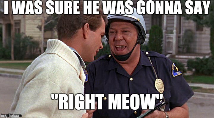 officer puppy | I WAS SURE HE WAS GONNA SAY "RIGHT MEOW" | image tagged in officer puppy | made w/ Imgflip meme maker
