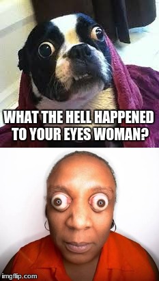 When dogs look like their owners... |  WHAT THE HELL HAPPENED TO YOUR EYES WOMAN? | image tagged in dogs,nasty woman,nasty dog,eyes | made w/ Imgflip meme maker