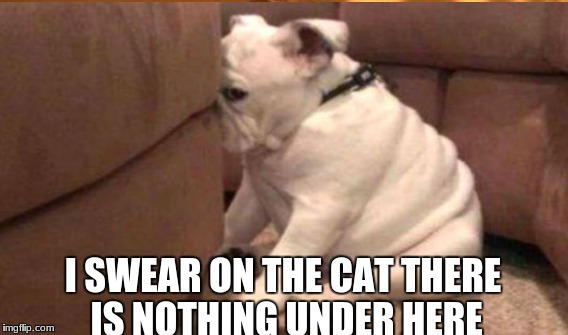 I SWEAR ON THE CAT THERE IS NOTHING UNDER HERE | made w/ Imgflip meme maker