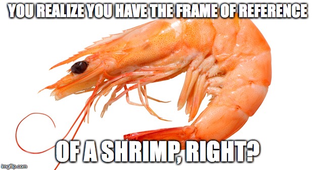 Shrimp intelligence | YOU REALIZE YOU HAVE THE FRAME OF REFERENCE; OF A SHRIMP, RIGHT? | image tagged in shrimpsmarts | made w/ Imgflip meme maker
